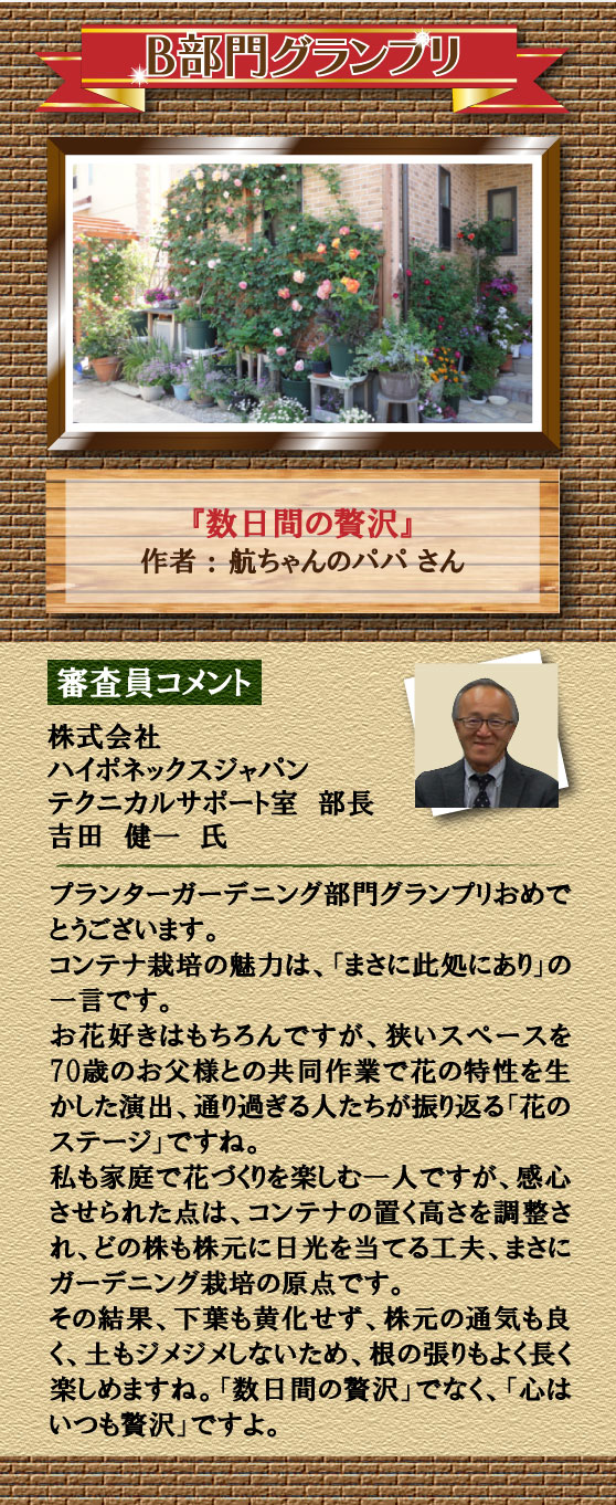 B����O�����v��