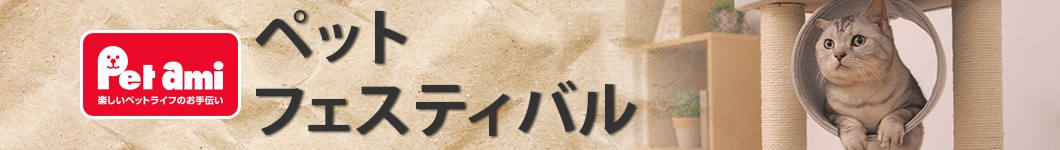 �y�b�g�t�F�X�e�B�o��