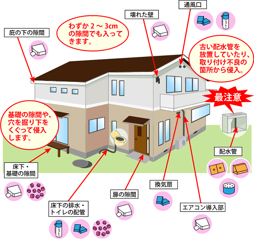 ネズミ対策用品特集 ネズミ駆除 食品 家財を守る ホームセンター通販コメリドットコム