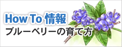 ブルーベリー ハイブッシュ ラビットアイ 健康食品 ホームセンター通販コメリドットコム