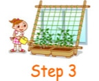 step３