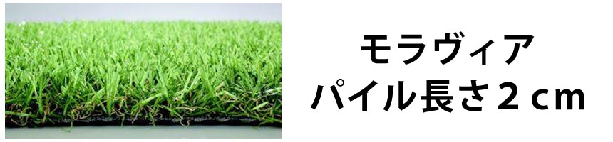 人工芝特集 人工芝 芝 ターフ 若草ユニット お庭作り 泥落とし 滑り止め 雑草 ホームセンター通販コメリドットコム