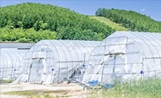 ハウス部材関連