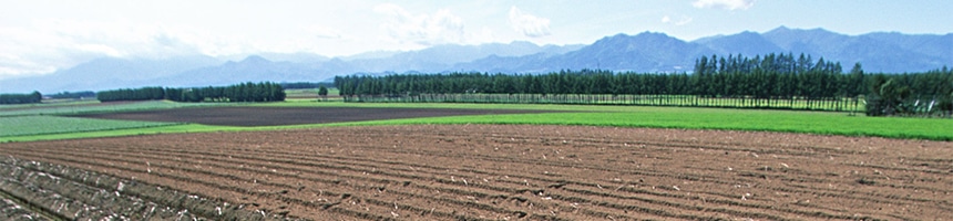 ローラーコンベア特集