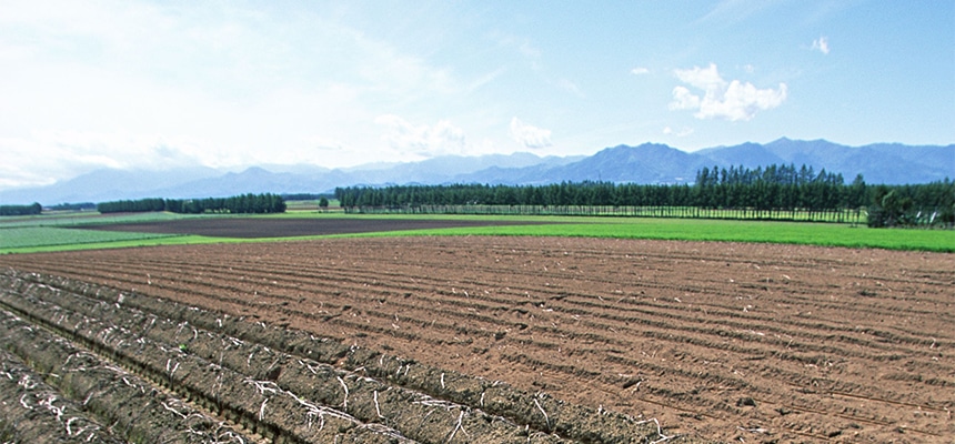 ローラーコンベア特集