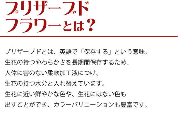 プリザーブドフラワーとは