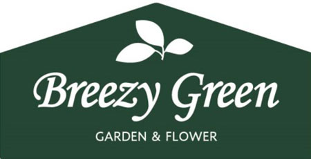 Breezy Green