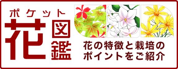 春の植物予約特集 ホームセンター通販コメリドットコム