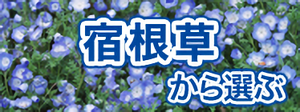 春の植物予約特集 ホームセンター通販コメリドットコム