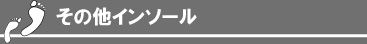 その他のインソール