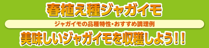 年間ｶﾚﾝﾀﾞｰ