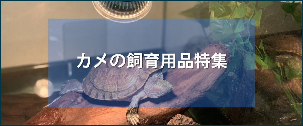 カメの飼育用品特集