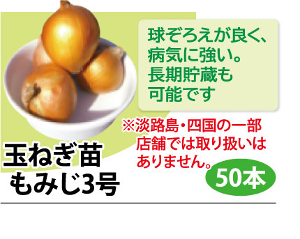 玉ねぎ苗予約特集 - ホームセンター通販コメリドットコム