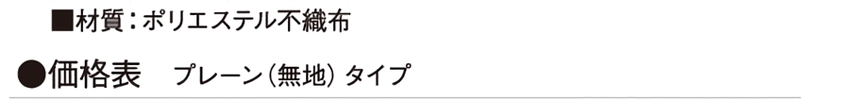 プレーンタイプ