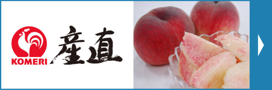 お中元夏ギフト産地直送商品