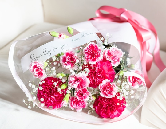 母の日ギフト特集 ホームセンター通販コメリドットコム