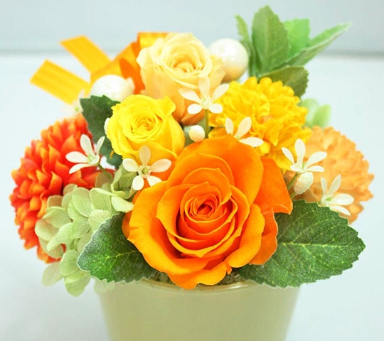 母の日ギフト特集 ホームセンター通販コメリドットコム