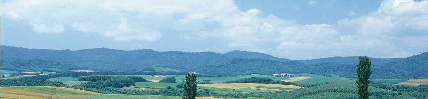 農作業衣料特集