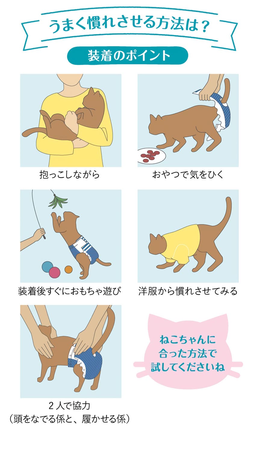 ユニチャーム新商品紹介ページ 猫マナーウェア ホームセンター通販コメリドットコム