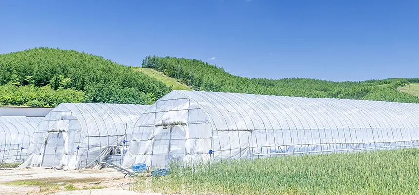 青森・秋田・岩手エリア