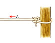 ロープの結び方木に結ぶ「ふた結び」