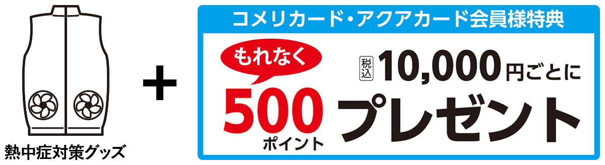 さらに!! 先行予約販売ならポイントプレゼント