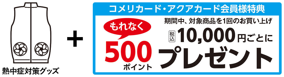 さらに!! 先行予約販売ならポイントプレゼント