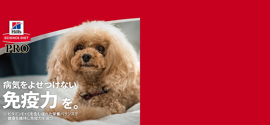ヒルズ サイエンス・ダイエット ポイントキャンペーン