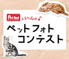 ペットフォトコンテスト