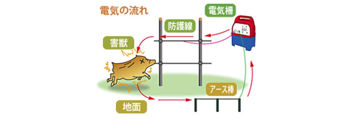 電気柵周りに防草シートは必要？