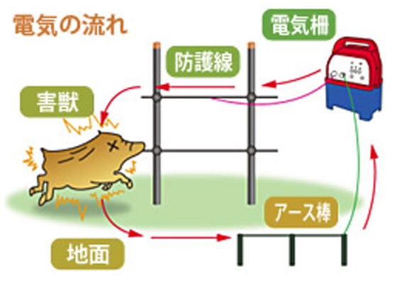 電気柵周りに防草シートは必要？