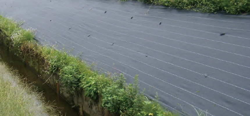 防草シート特集 おすすめ砂利 ホームセンター通販コメリドットコム