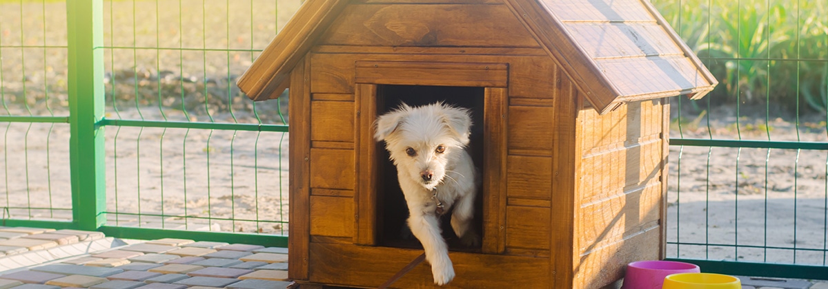 犬小屋・ドッグサークル