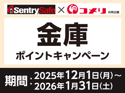 金庫ポイントキャンペーン