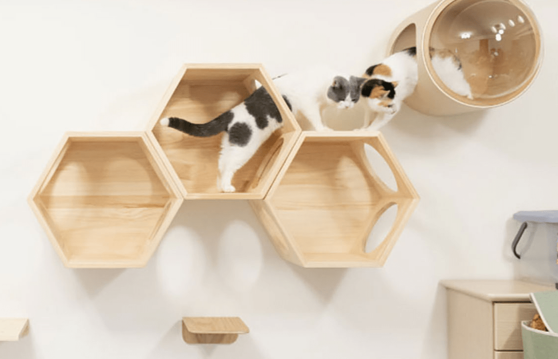 コーディネート一覧 5