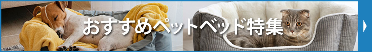 秋冬ペットベッド特集