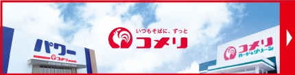 公式ホームページ