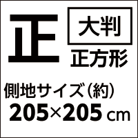 正方形　測地サイズ（約）205×205cm