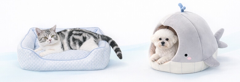 春夏ペット用品特集