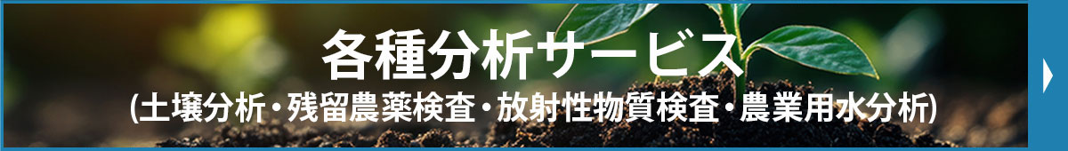 各種分析サービス