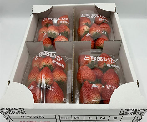 栃木県産　とちあいかいちご　約1kg（約260g×4パック）