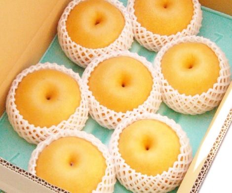 新潟県燕市産小杉農園こだわりの新高梨約3kg(5～6玉入)