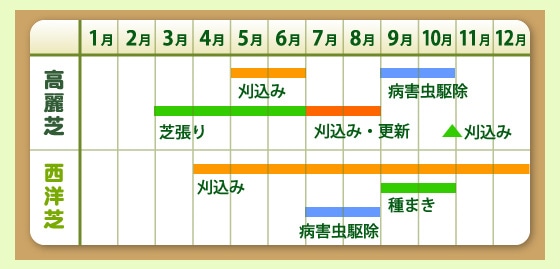 芝のメンテナンスをしましょう ホームセンター通販コメリドットコム