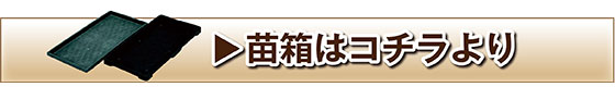 苗箱はこちら