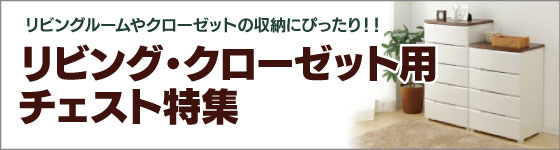 ���r���O�E�N���[�[�b�g�p�`�F�X�g���W