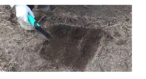 土壌の採取方法