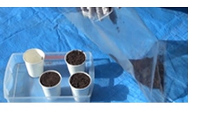 土壌の採取方法