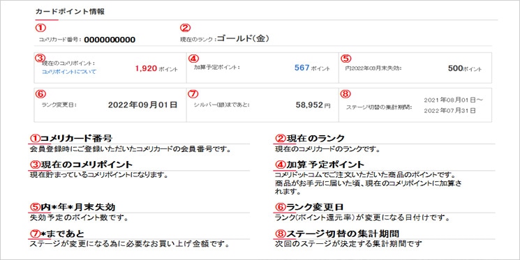 マイページでのポイント確認画面