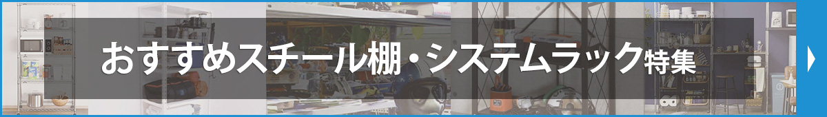 �X�`�[���I