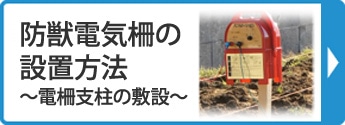 防獣電気柵の設置方法～電柵支柱の敷設～